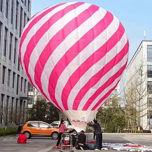 Why do hot air balloons rise? What principle to use