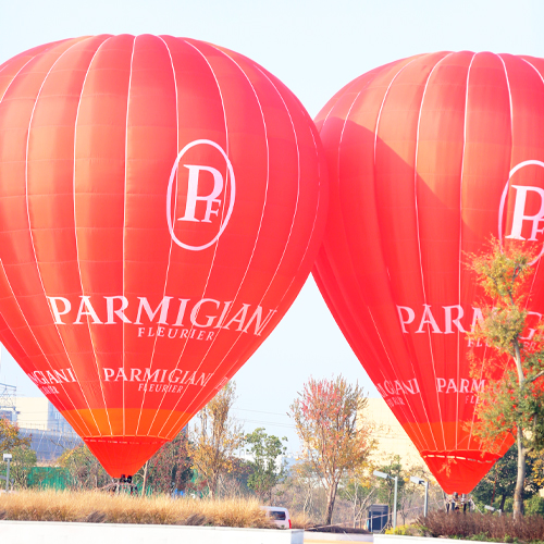 Hot air balloon